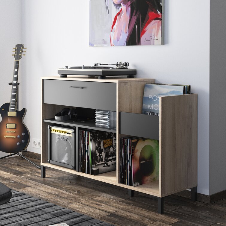 Wayfair vinyl record deals storage